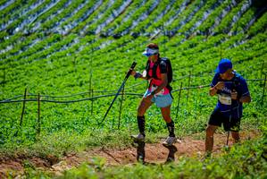 BIB: 
                            <button type="button" onclick="openModal(19164446)" class="btn btn-primary btn-sm float-right btn-popup" data-toggle="modal" data-target=".modal-high-quality">
                        <i class="fas fa-shopping-cart"></i> Add to Cart
                    </button>
                                            <button type="button" onclick="isThisMe(19164446, true)" class="btn btn-success btn-sm float-right btn-popup btn-isme hidden" data-toggle="tooltip" data-placement="bottom" title="นี่คือรูปของคุณใช่ไหม คลิกที่นี่เพื่อเอาเข้าอัลบั้ม">
                        <i class="fas fa-plus"></i> Add to album
                    </button>
                    <button type="button" onclick="isThisMe(19164446, false)" class="btn btn-warning btn-sm float-right btn-popup btn-isnotme hidden">
                        <i class="fas fa-ban"></i> Remove from album
                    </button>